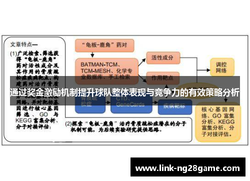 通过奖金激励机制提升球队整体表现与竞争力的有效策略分析